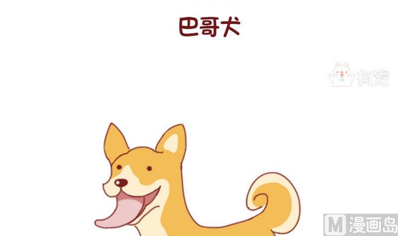 🍜有宠百科 第52话 第9页