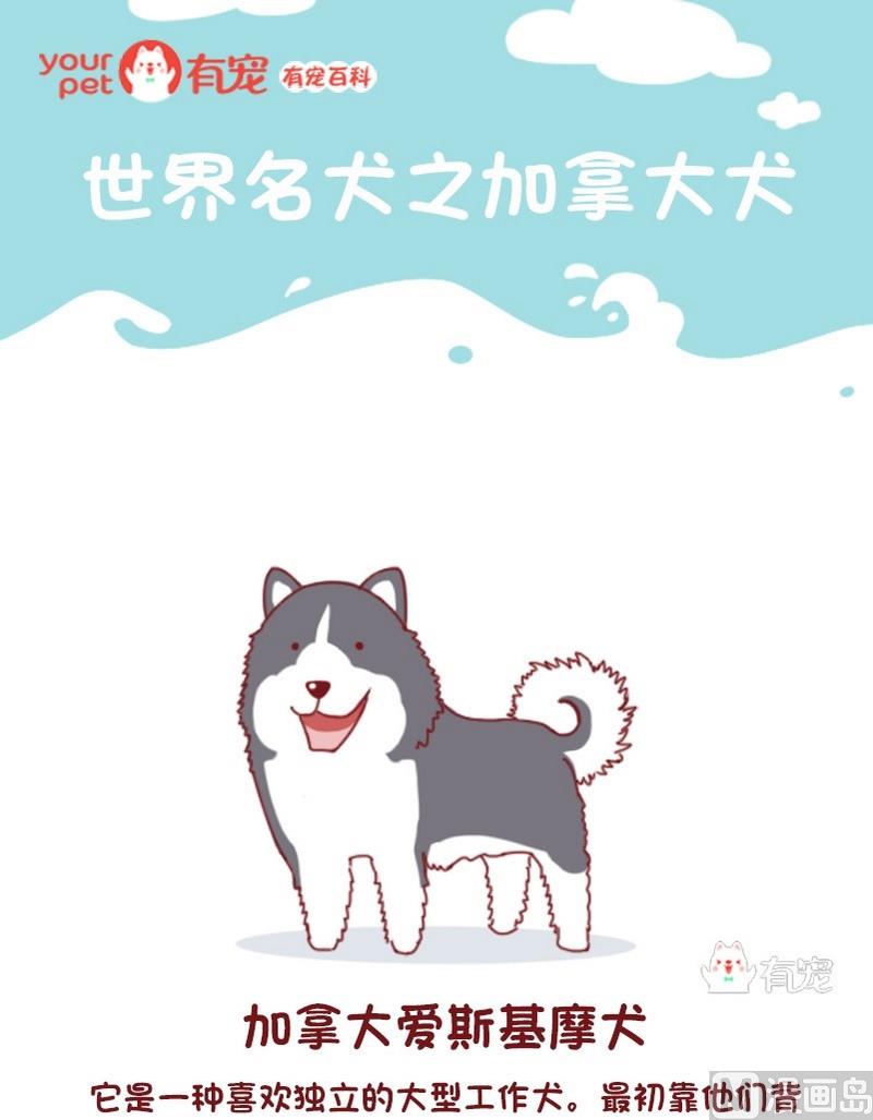 🍜有宠百科 第54话 第1页