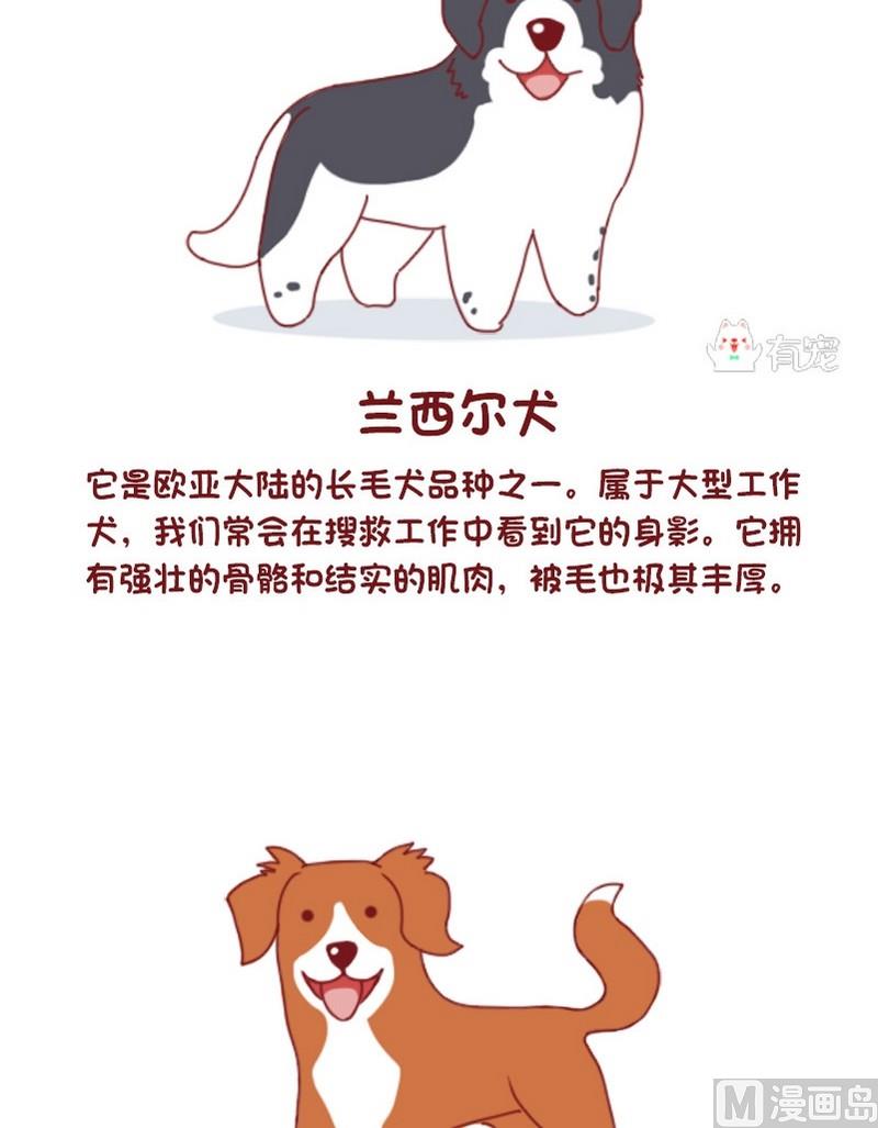 🍜有宠百科 第54话 第4页