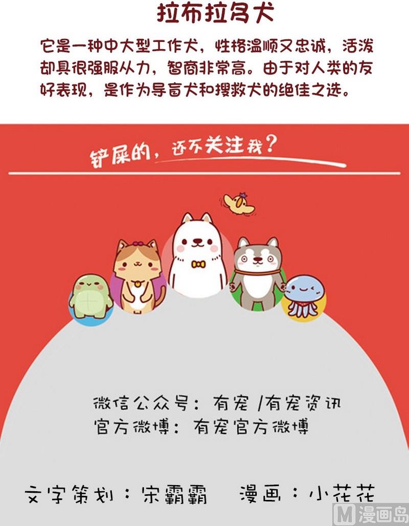🍜有宠百科 第54话 第6页