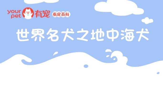 🍜有宠百科 第56话 第1页