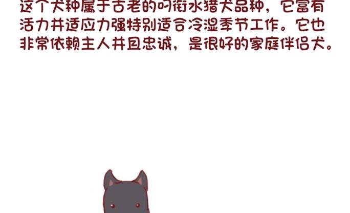 🍜有宠百科 第56话 第14页