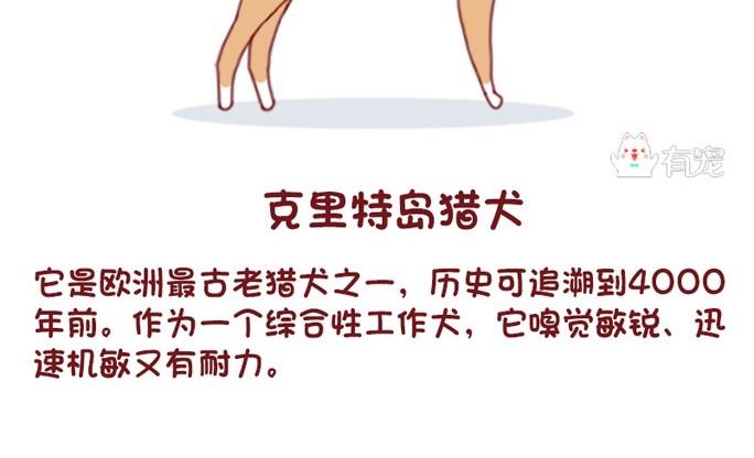 🍜有宠百科 第56话 第19页