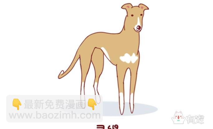 🍜有宠百科 第56话 第2页