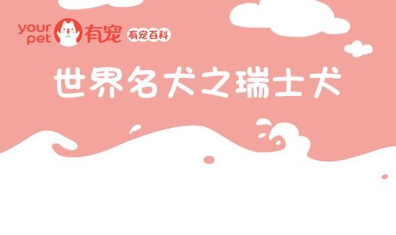🍜有宠百科 第58话 第1页