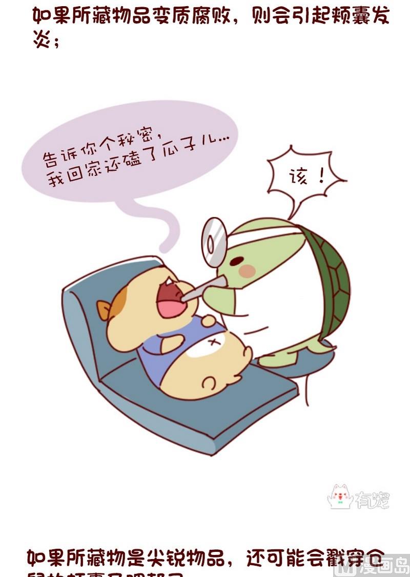 🍜有宠百科 第60话 第6页