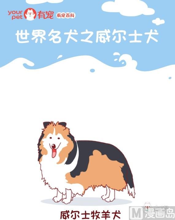 🍜有宠百科 第62话 第1页