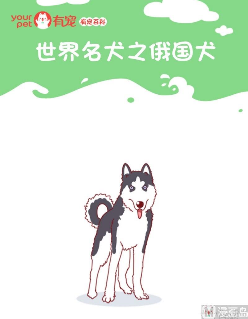 🍜有宠百科 第64话 第1页