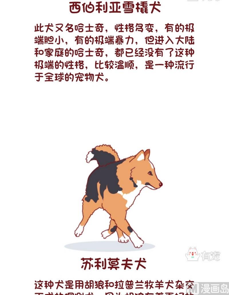 🍜有宠百科 第64话 第2页