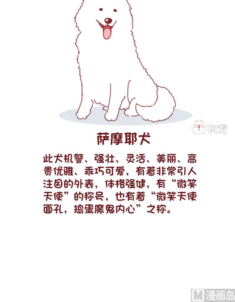 🍜有宠百科 第64话 第6页
