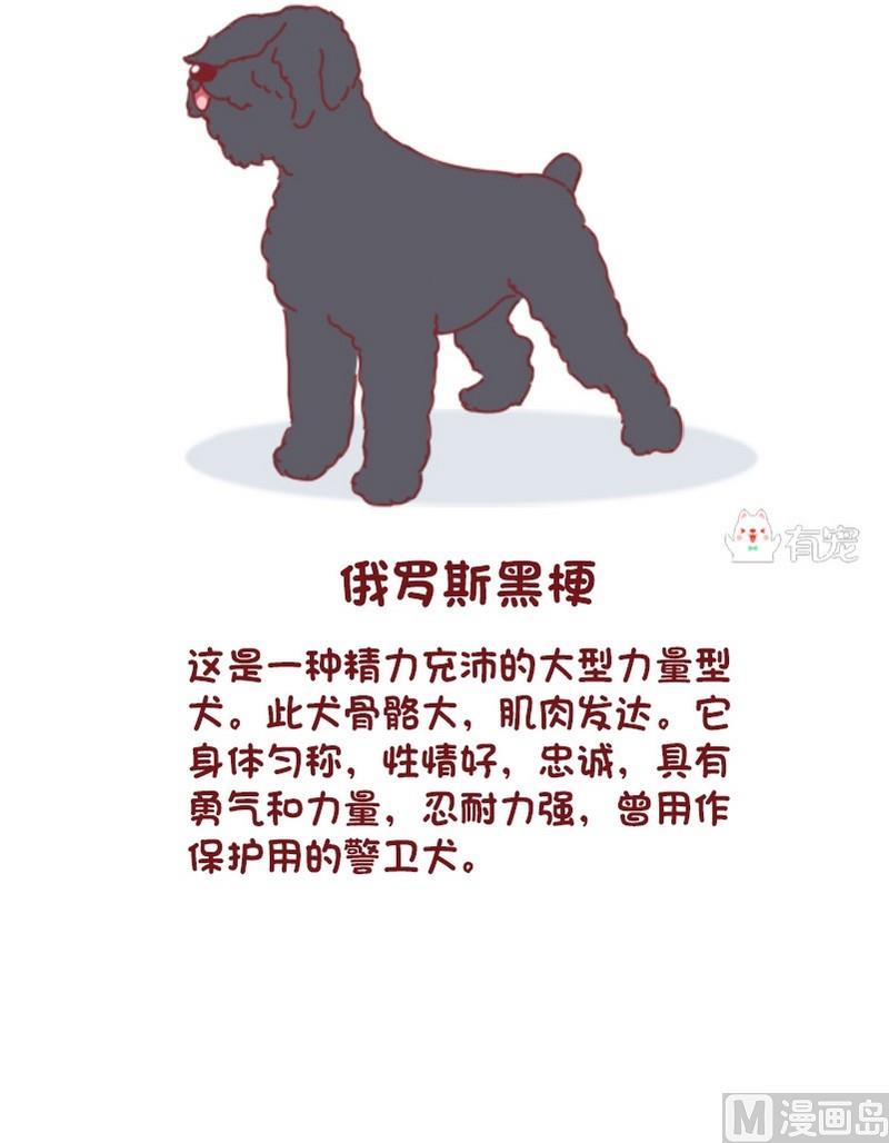 🍜有宠百科 第64话 第7页