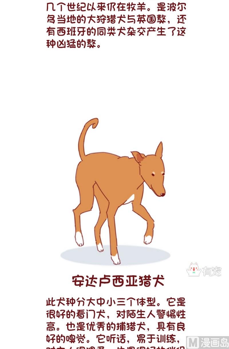 🍜有宠百科 第66话 第6页