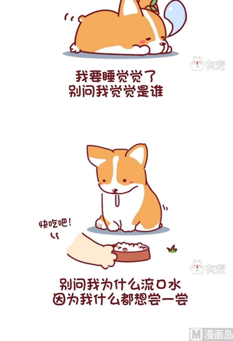 🍜有宠百科 第68话 第2页