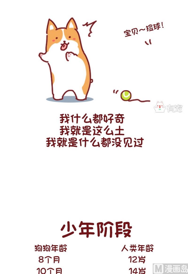 🍜有宠百科 第68话 第3页
