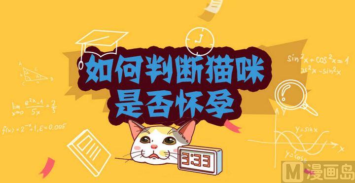 🍜有宠百科 70如何判断猫咪是否怀孕 第1页