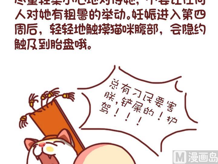 🍜有宠百科 70如何判断猫咪是否怀孕 第11页