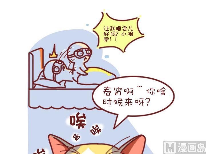 🍜有宠百科 70如何判断猫咪是否怀孕 第3页