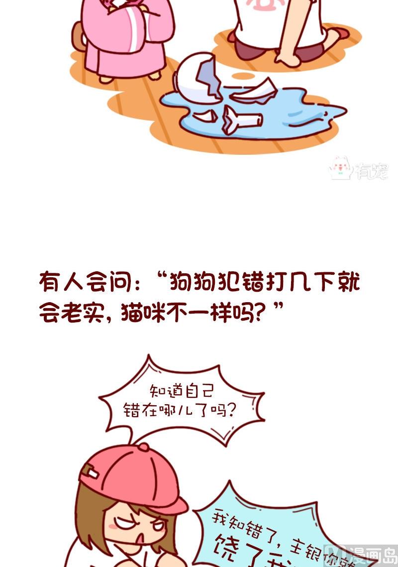 🍜有宠百科 第72话 第2页