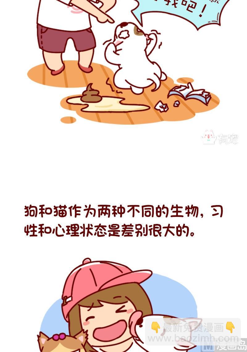 🍜有宠百科 第72话 第3页