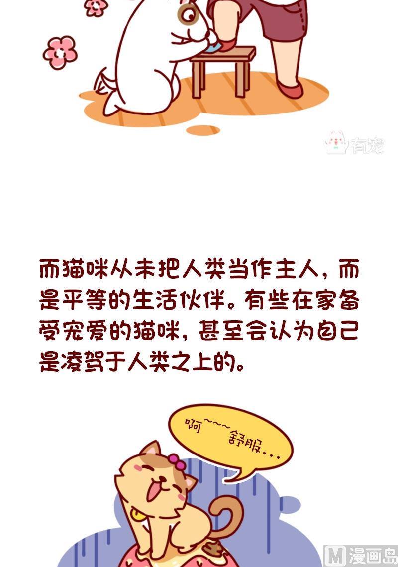🍜有宠百科 第72话 第5页