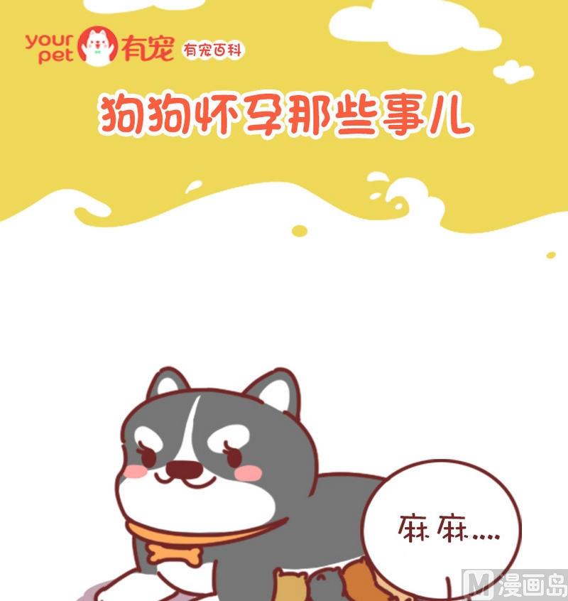 🍜有宠百科 第74话 第1页