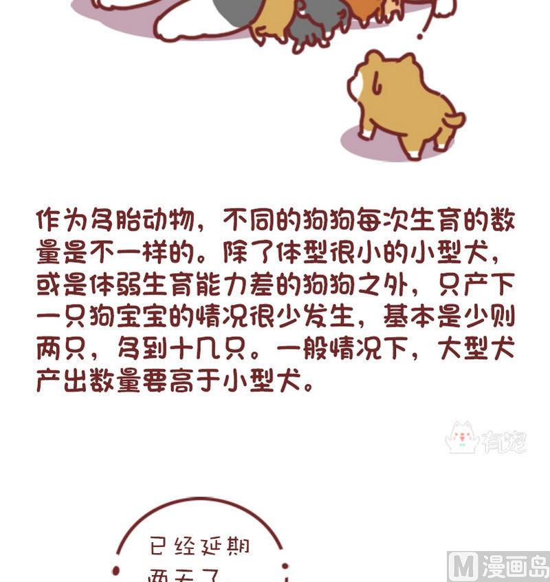 🍜有宠百科 第74话 第2页