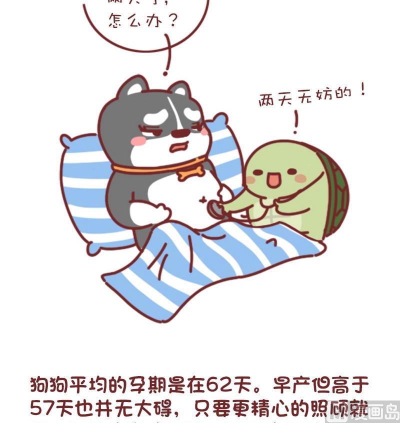 🍜有宠百科 第74话 第3页