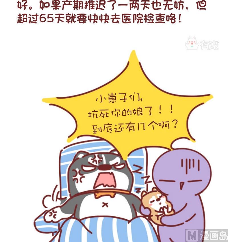 🍜有宠百科 第74话 第4页