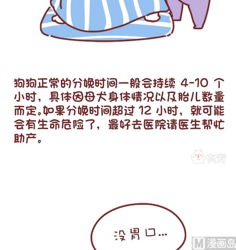 🍜有宠百科 第74话 第5页