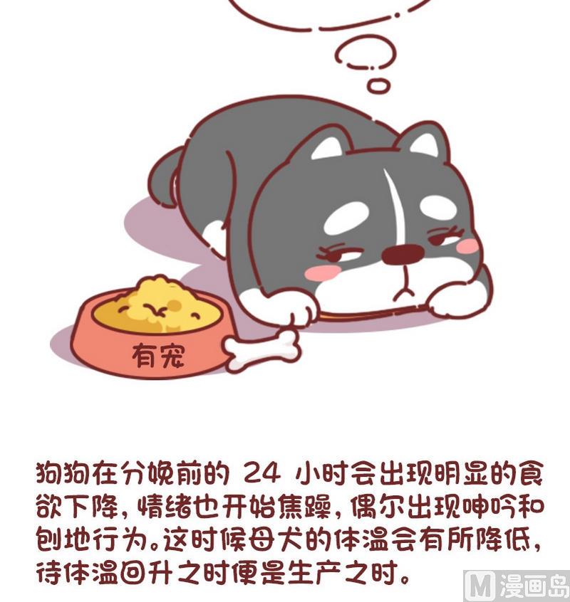 🍜有宠百科 第74话 第6页