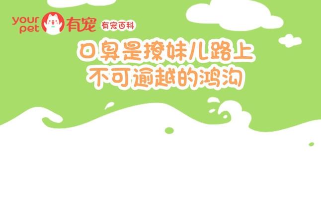 🍜有宠百科 第76话 第1页
