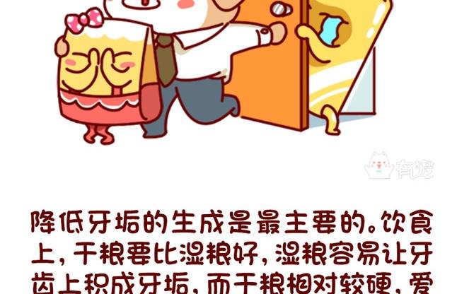 🍜有宠百科 第76话 第10页
