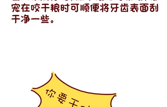 🍜有宠百科 第76话 第11页