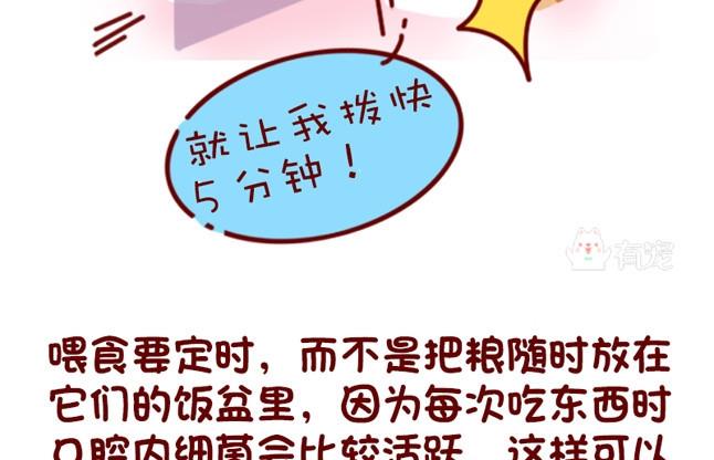 🍜有宠百科 第76话 第13页