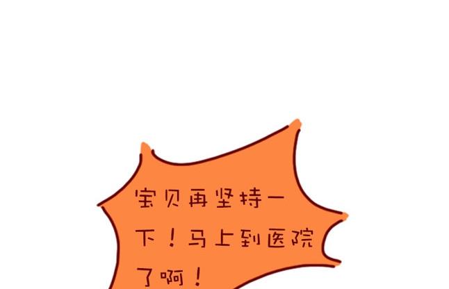 🍜有宠百科 第76话 第19页