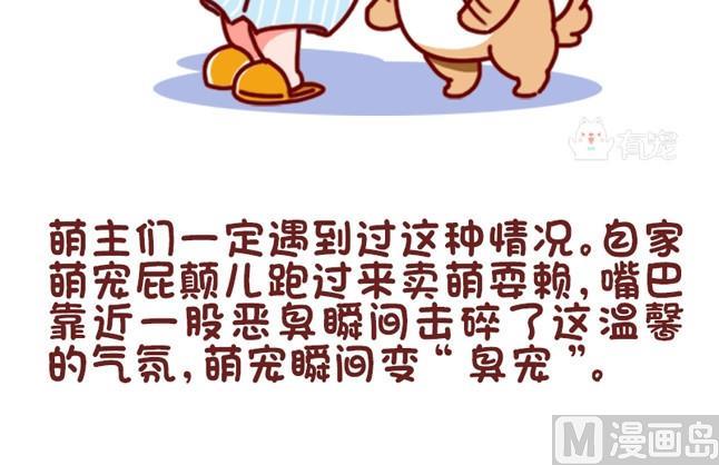 🍜有宠百科 第76话 第3页
