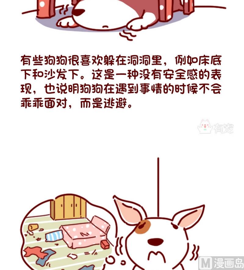 🍜有宠百科 第78话 第2页