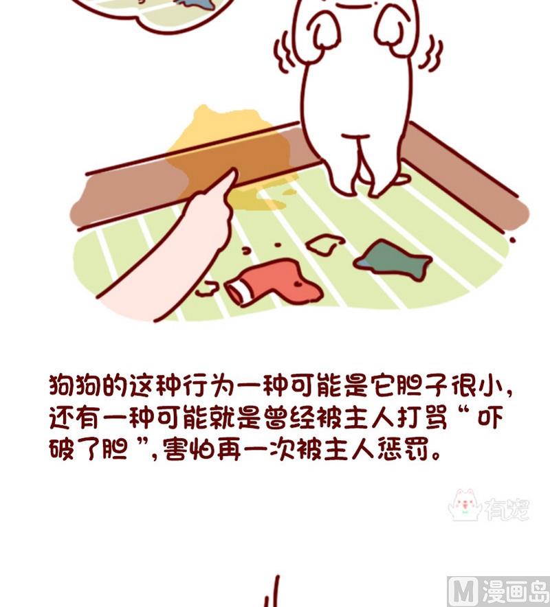 🍜有宠百科 第78话 第3页