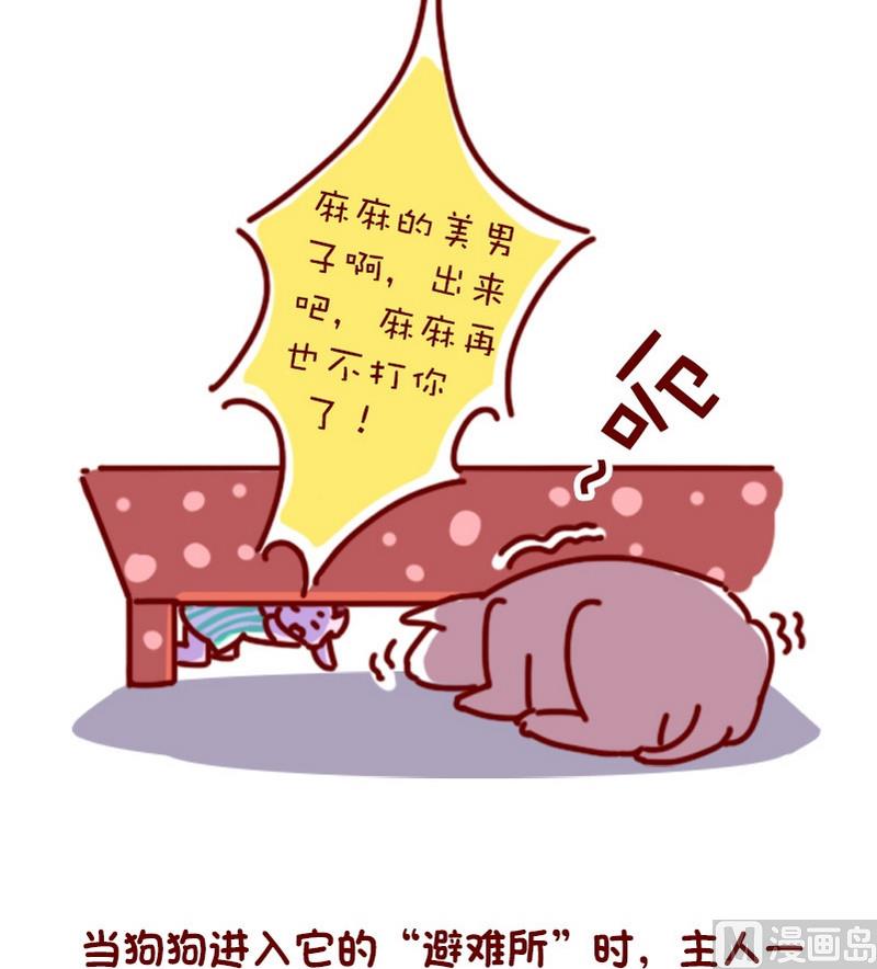 🍜有宠百科 第78话 第4页