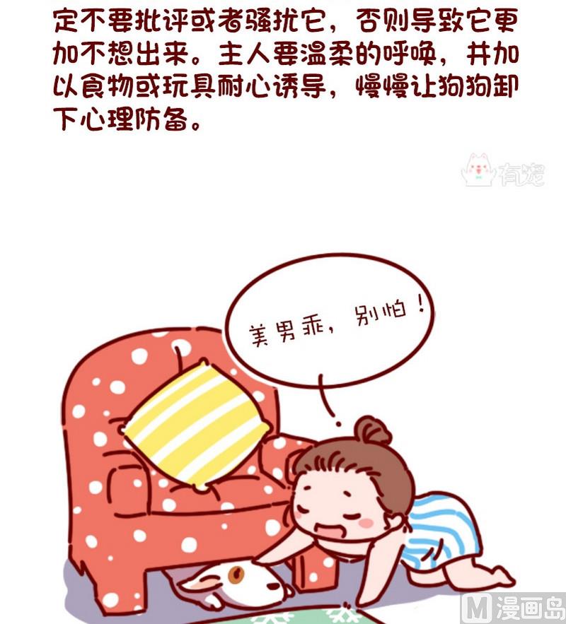 🍜有宠百科 第78话 第5页