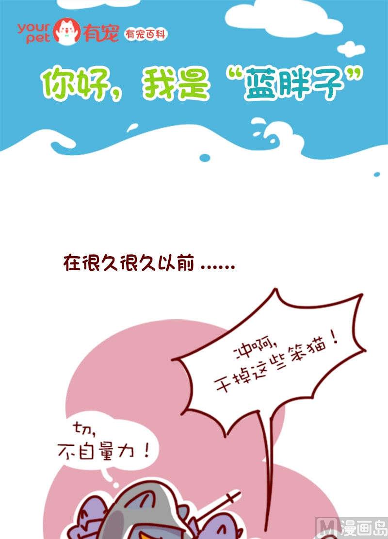 🍜有宠百科 第80话 第1页