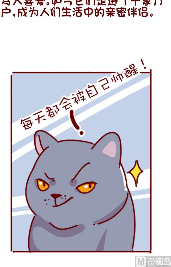 🍜有宠百科 第80话 第4页