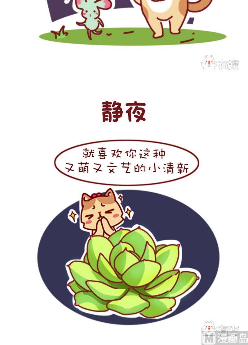 🍜有宠百科 第84话 第2页