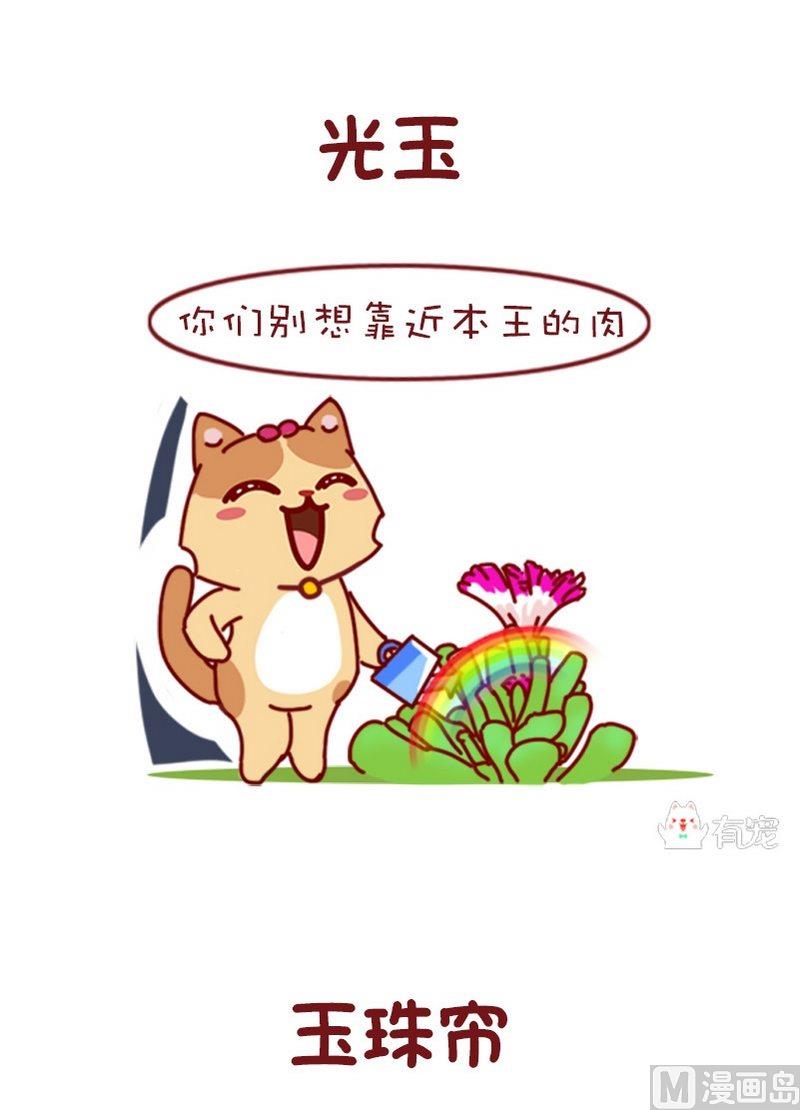🍜有宠百科 第84话 第3页