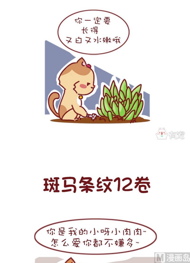 🍜有宠百科 第84话 第4页