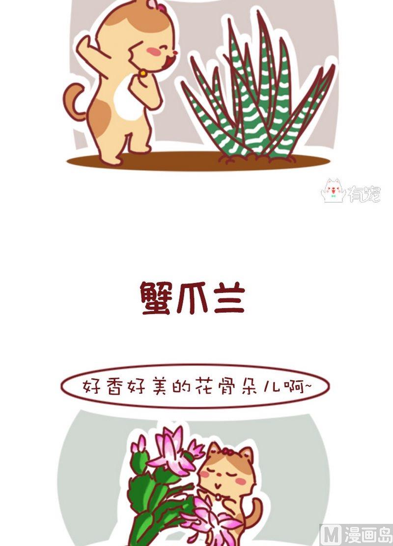 🍜有宠百科 第84话 第5页