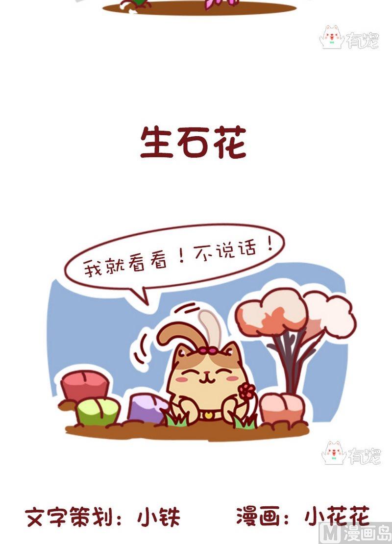 🍜有宠百科 第84话 第6页