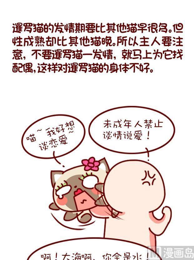 🍜有宠百科 第86话 第1页