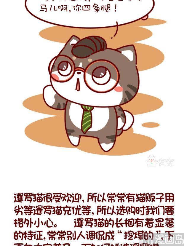 🍜有宠百科 第86话 第2页