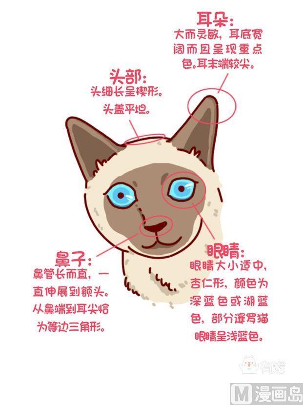 🍜有宠百科 第86话 第4页